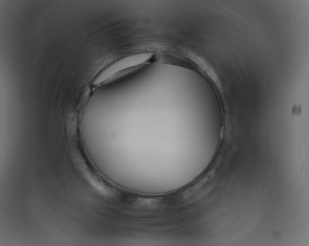 X0000089450057200707131935