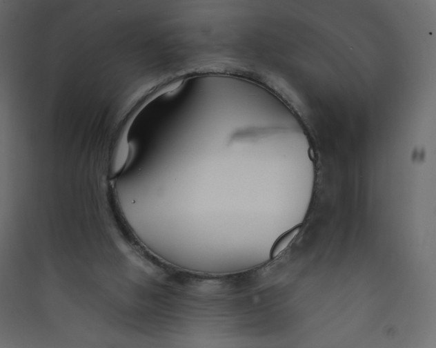 X0000089450058200707131935