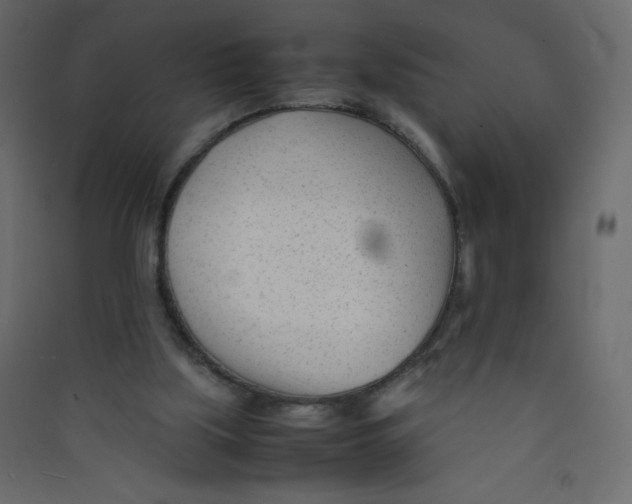 X0000089450059200707131935