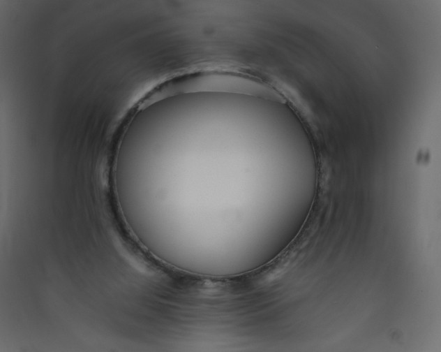 X0000089450060200707131935