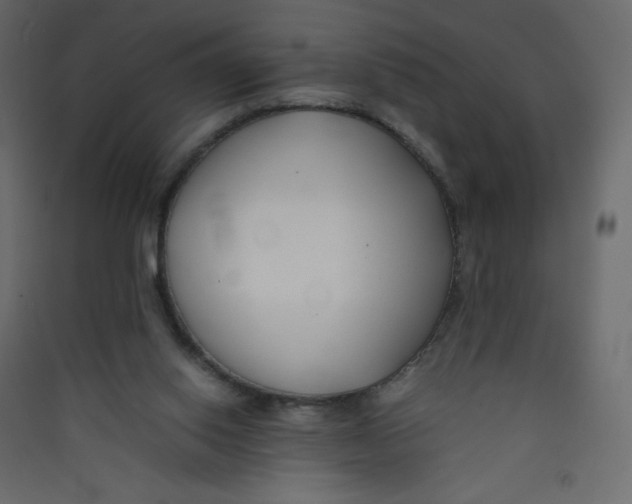 X0000089450062200707131935