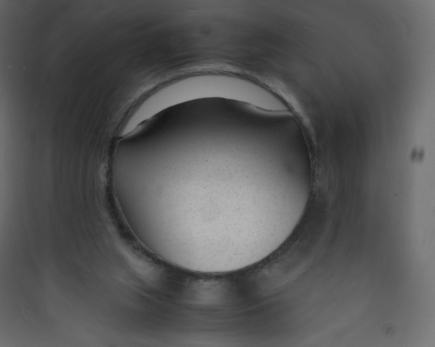 X0000089450063200707131935