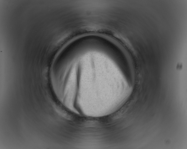 X0000089450066200707131936