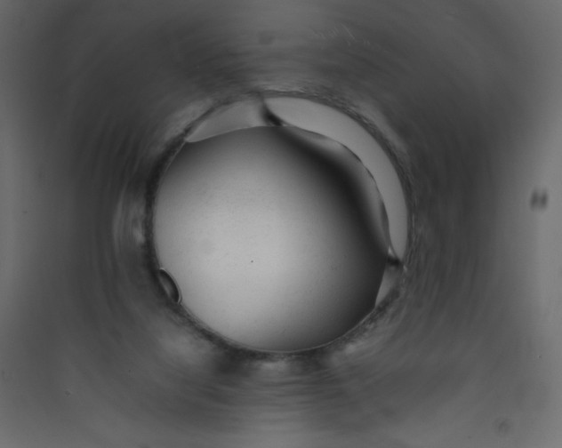 X0000089450068200707131936