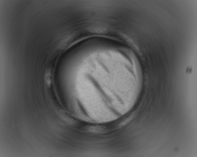 X0000089450069200707131936