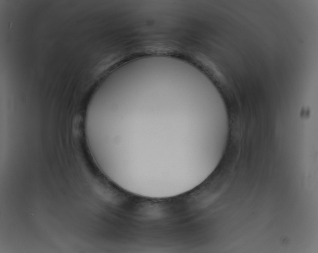 X0000089450071200707131936