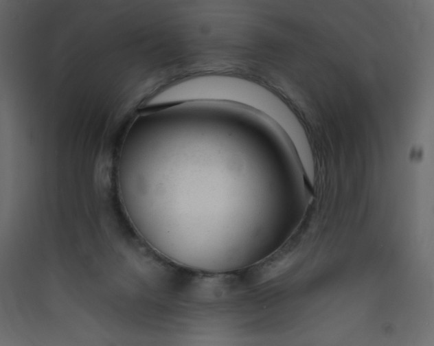 X0000089450072200707131936