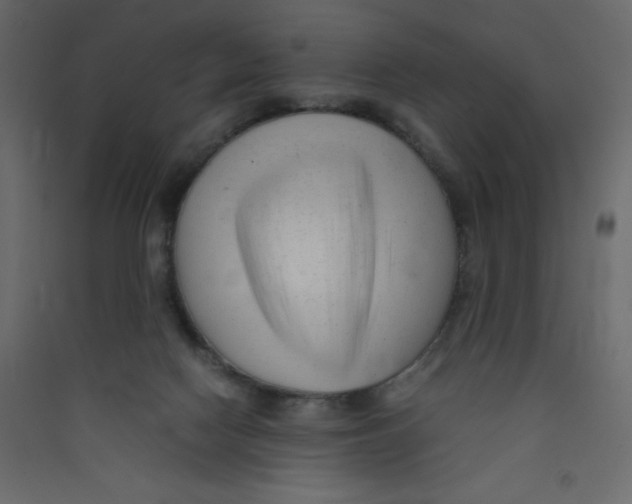 X0000089450074200707131936