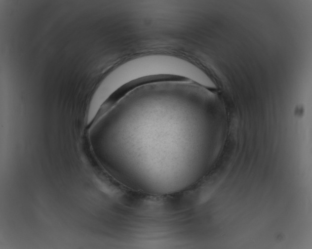 X0000089450076200707131936