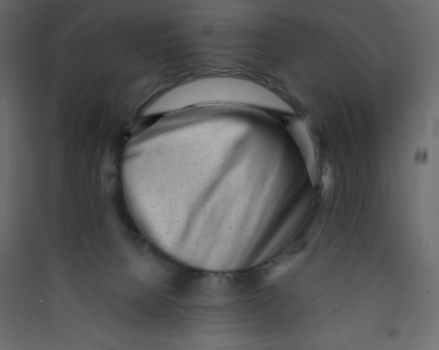 X0000089450080200707131936