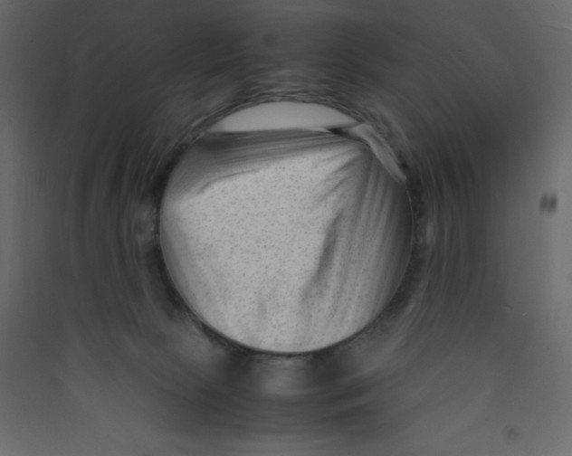 X0000089450081200707131936