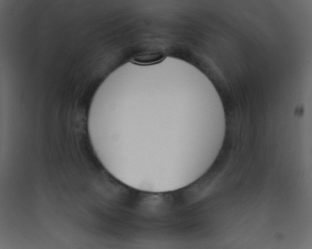 X0000089450083200707131936