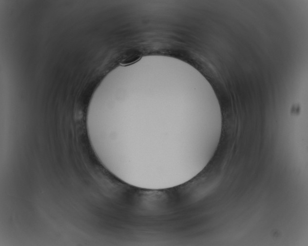 X0000089450087200707131936