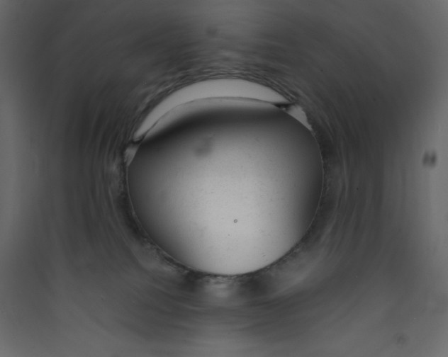 X0000089450088200707131936