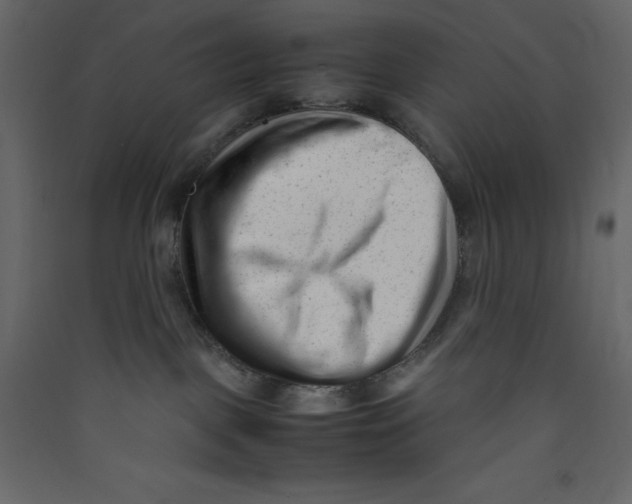 X0000089450093200707131936