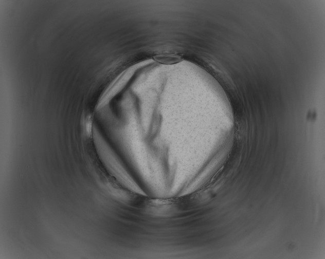 X0000089450095200707131936