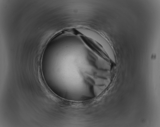 X0000089450097200707131935