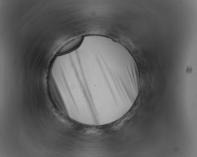 X0000089450098200707131935