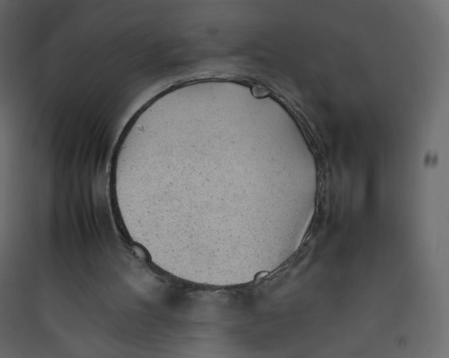 X0000089450100200707131935