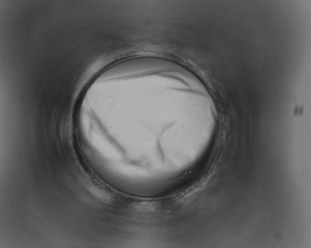 X0000089450102200707131935