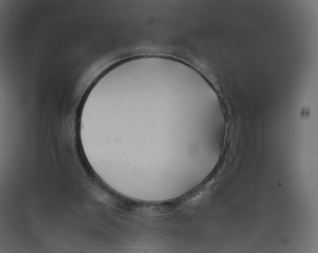 X0000089450103200707131935