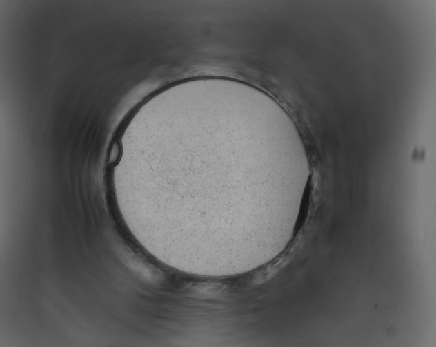 X0000089450104200707131935