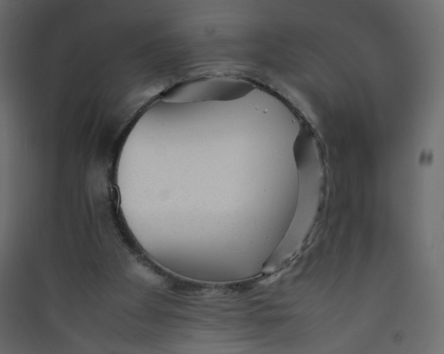 X0000089450105200707131935