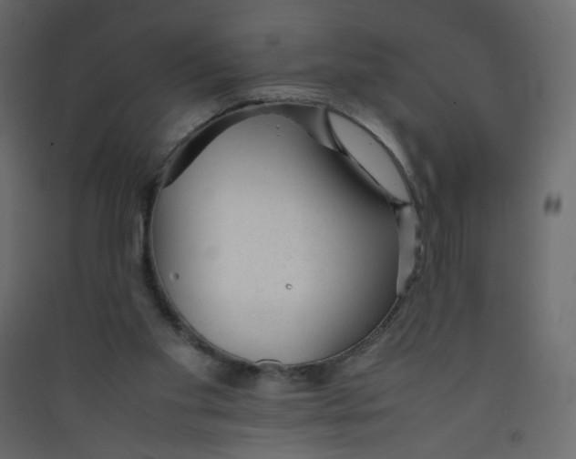 X0000089450109200707131935