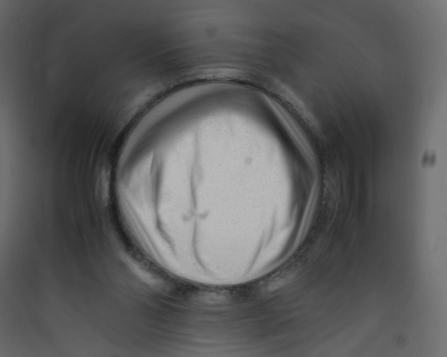 X0000089450110200707131935