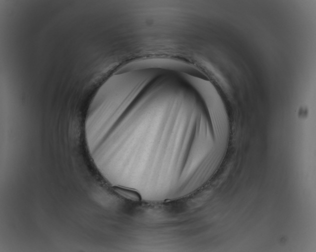 X0000089450113200707131935