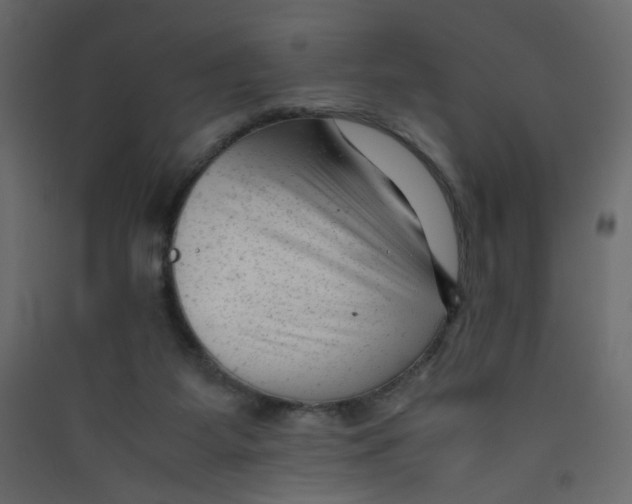 X0000089450115200707131935