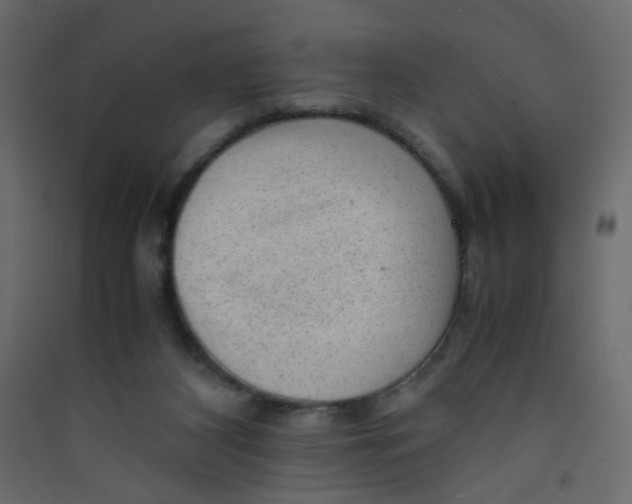 X0000089450116200707131935