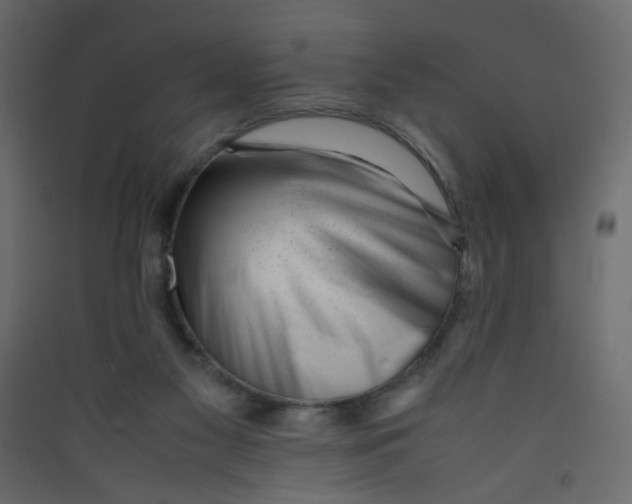 X0000089450117200707131935