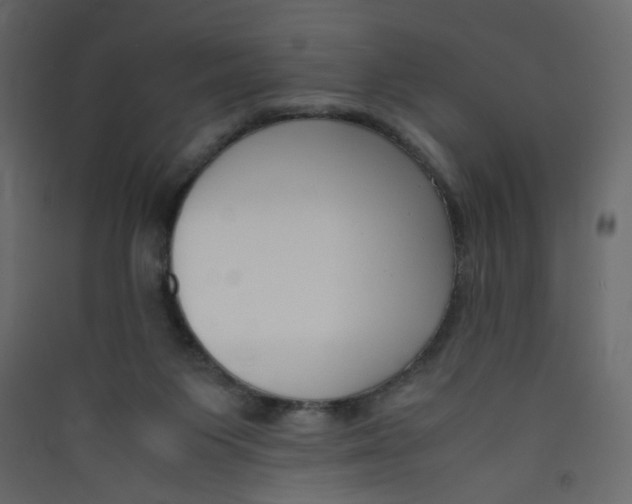 X0000089450119200707131935