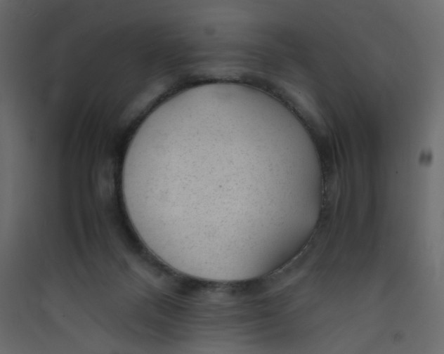 X0000089450120200707131935