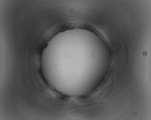 X0000089450121200707131935