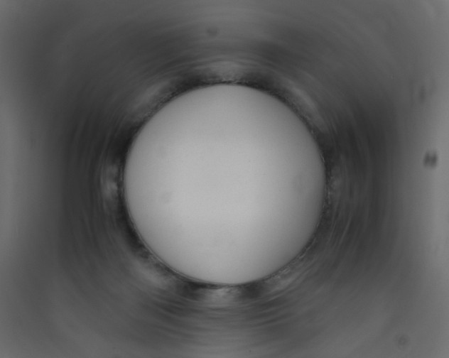 X0000089450122200707131935