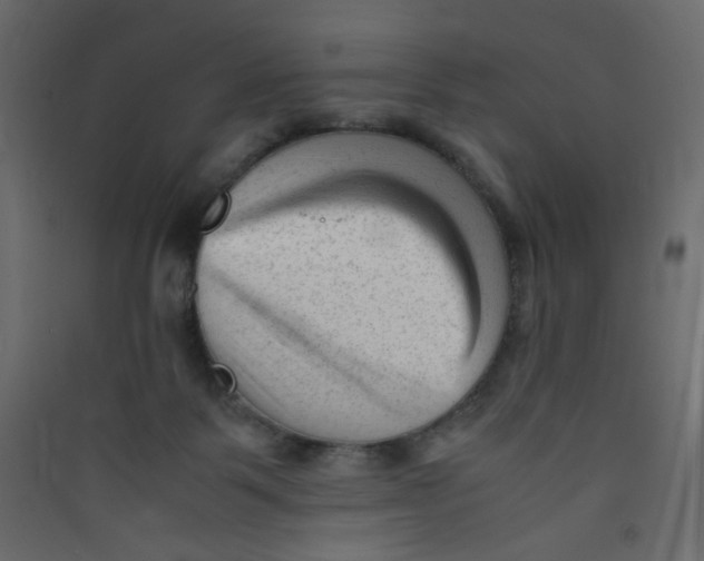 X0000089450123200707131935