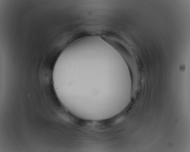 X0000089450125200707131935