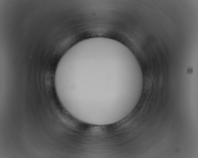 X0000089450126200707131935