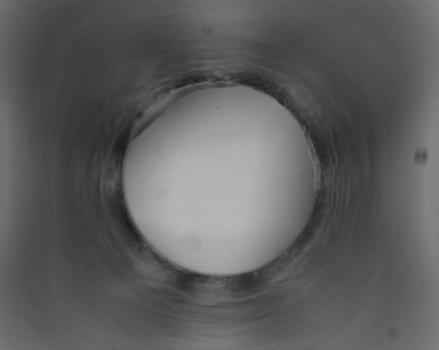 X0000089450129200707131935