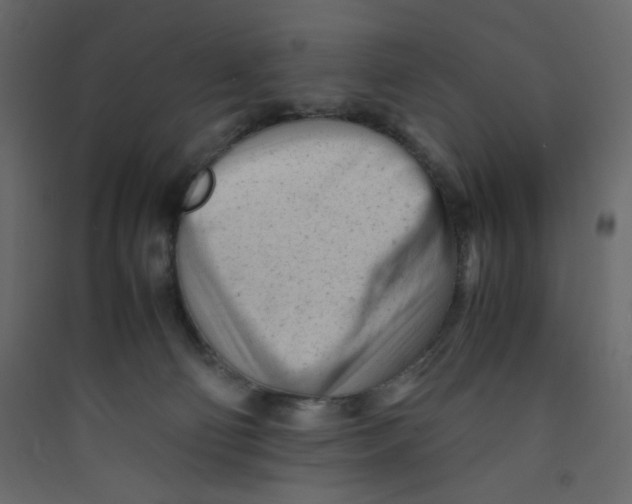 X0000089450130200707131935