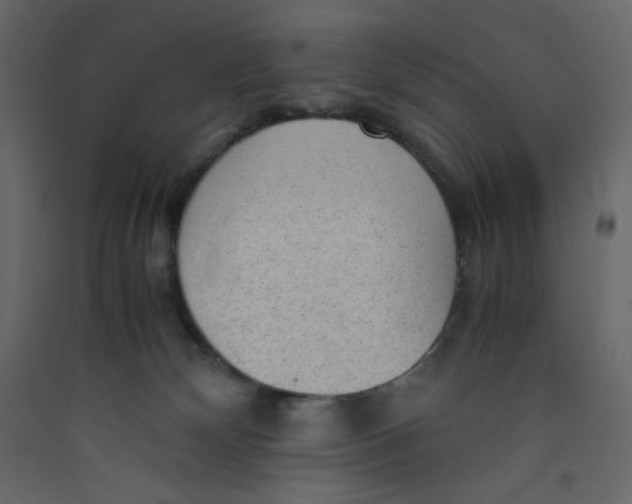 X0000089450132200707131935