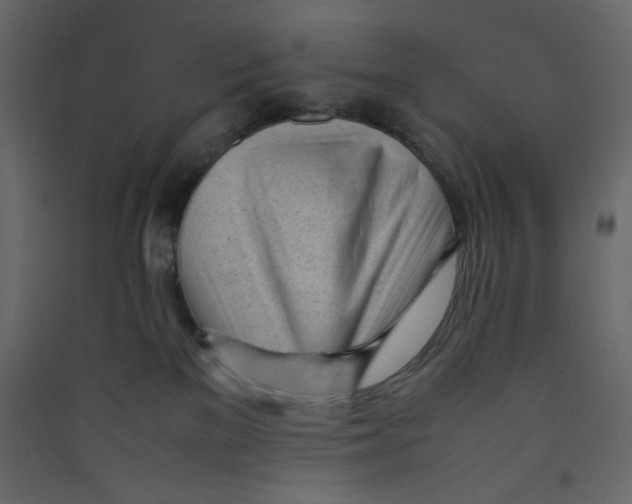 X0000089450137200707131934