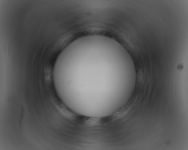 X0000089450138200707131934