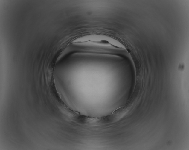 X0000089450139200707131934