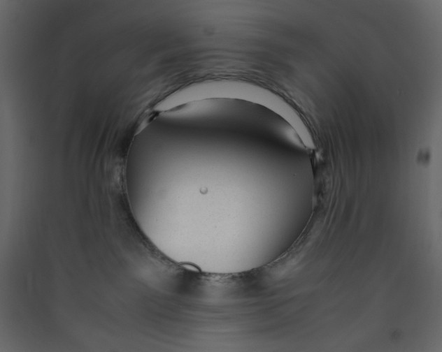 X0000089450141200707131934