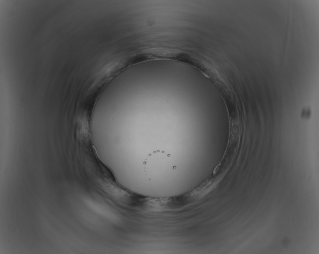 X0000089450143200707131934