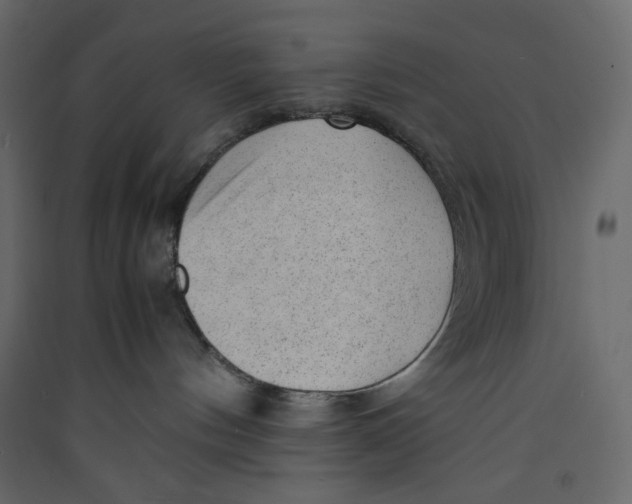 X0000089450144200707131934