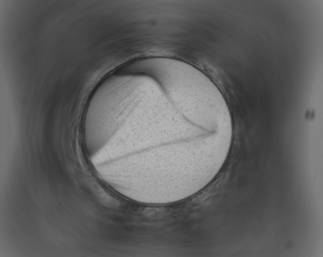 X0000089450145200707131934